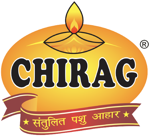 Chirag Cattle Feed